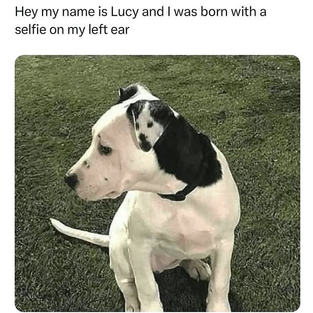  ......orable   'recent posts' 