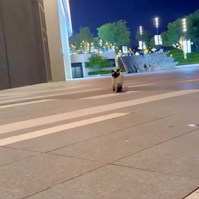  ......f_day_   'recent posts' 