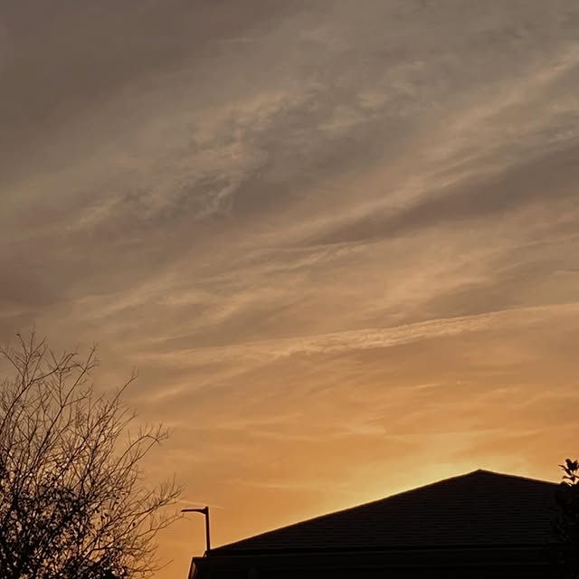  ......labarca   'recent posts' 