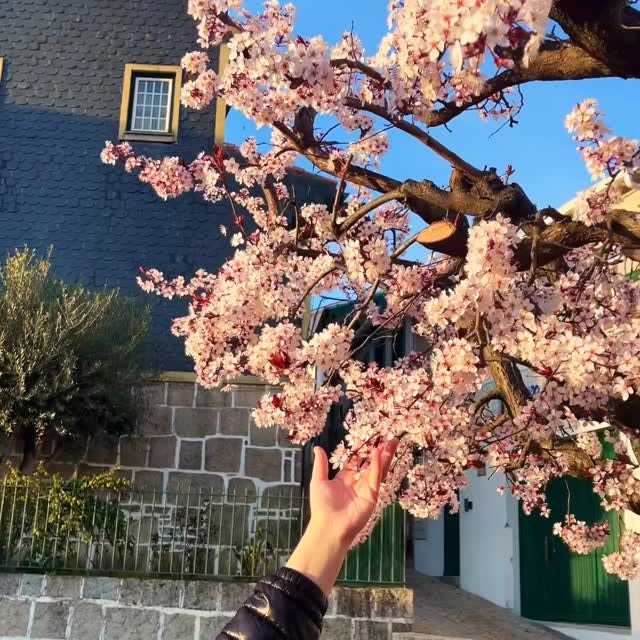  ..........orld_travel   'recent posts' 