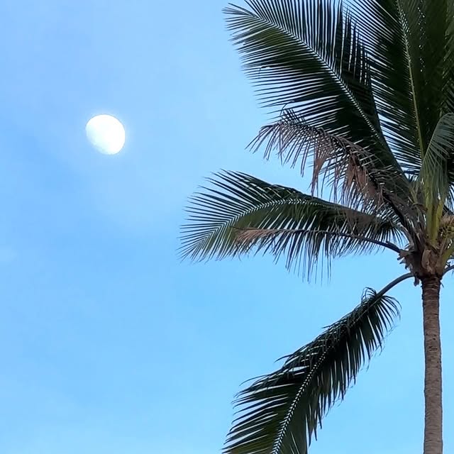  .....to.go   'recent posts' 