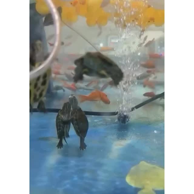  ......marino   'recent posts' 