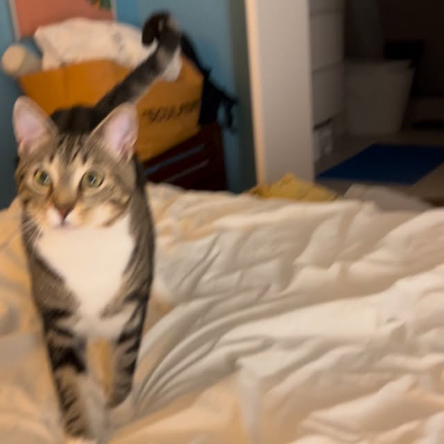  ......adamus   'recent posts' 