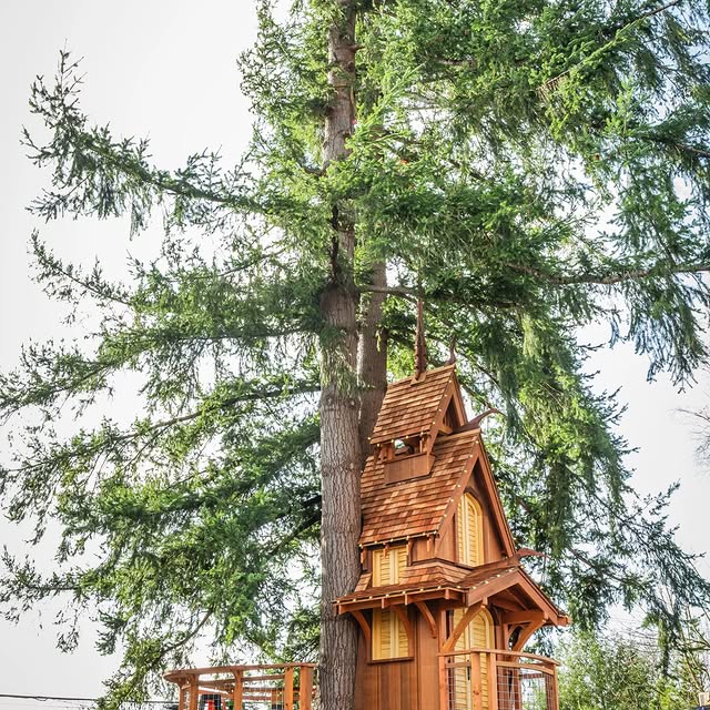  .......sespics   'recent posts' 