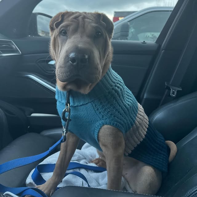  ......i.world   'recent posts' 