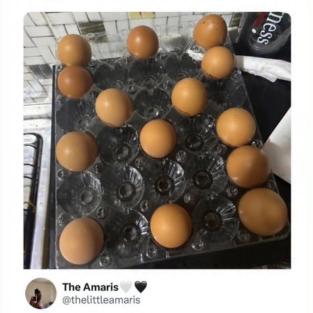  .....memes   'recent posts' 