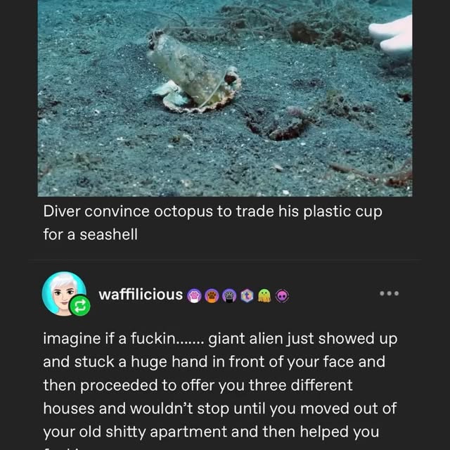  ......rldpage   'recent posts' 