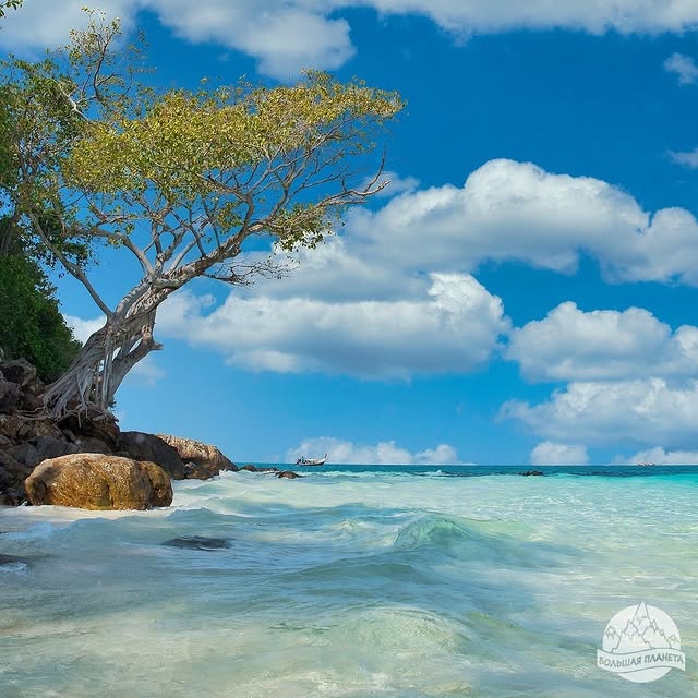  ........ig_planet   'recent posts' 