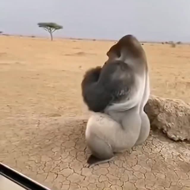  .......plorers   'recent posts' 