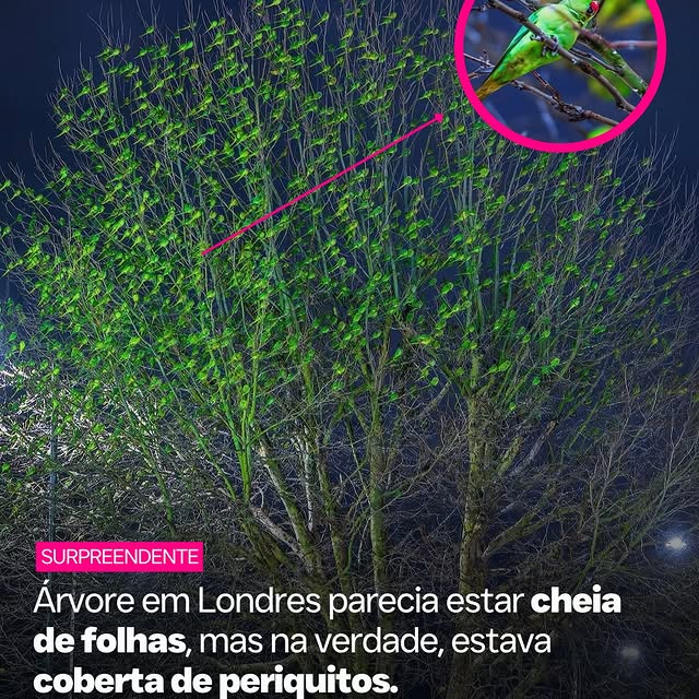  ....quei   'recent posts' 