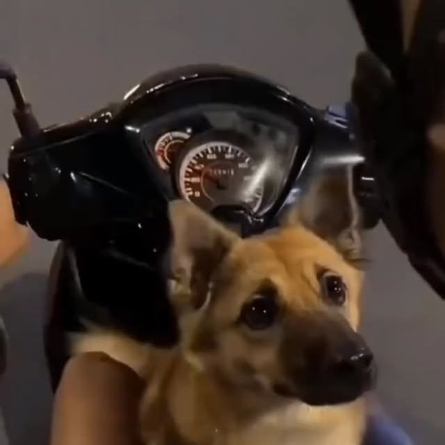  ......estige   'recent posts' 