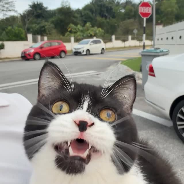  ......kekkek   'recent posts' 