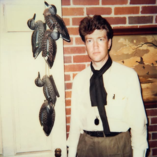  ......solynch   'recent posts' 