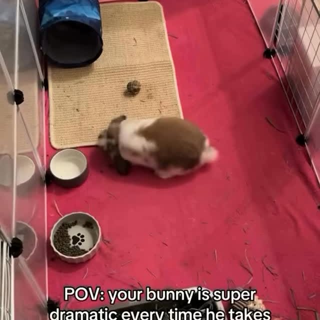  .......inheart   'recent posts' 