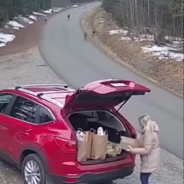  .....nly.ai   'recent posts' 