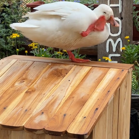  ........ckstatue   'recent posts' 