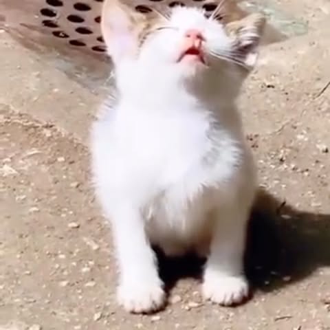  ......atclub   'recent posts' 