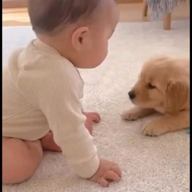  .......page_   'recent posts' 