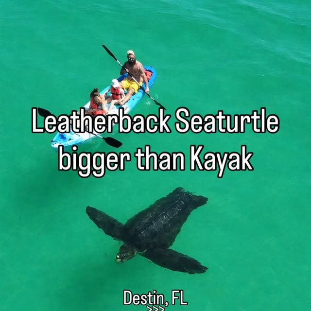  .....lorida   'recent posts' 