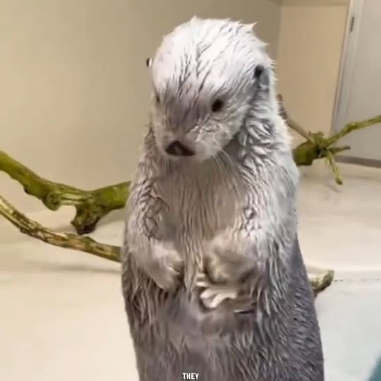  .....acthub   'recent posts' 