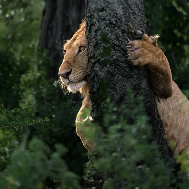  .......dbyfolk   'recent posts' 