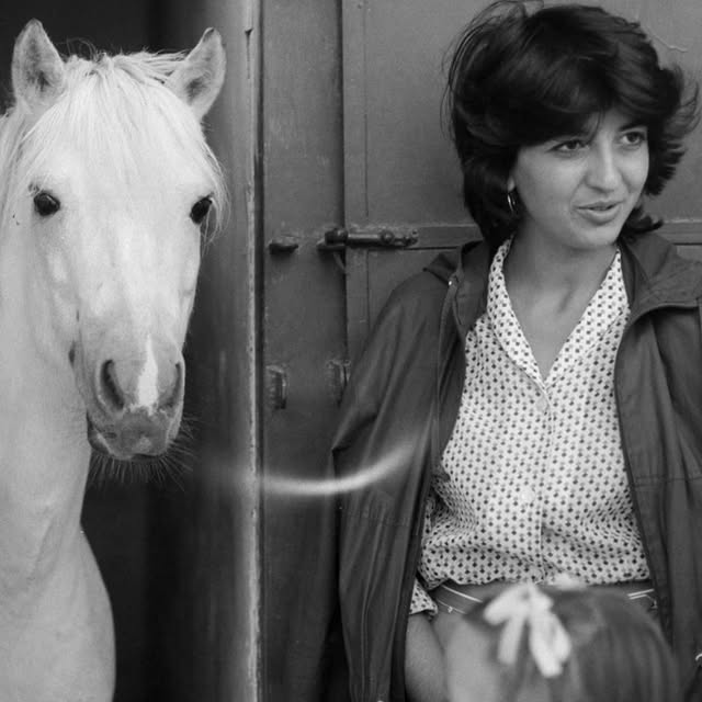  .......nardilli   'recent posts' 