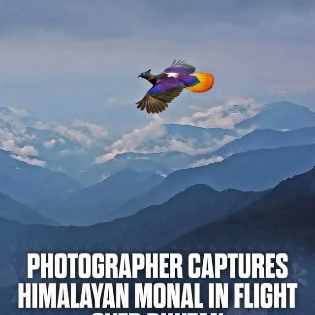  .......refervor   'recent posts' 