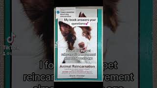  ......Atwater  'recent videos' 