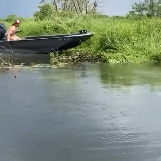  ..........linevideos   'recent posts' 