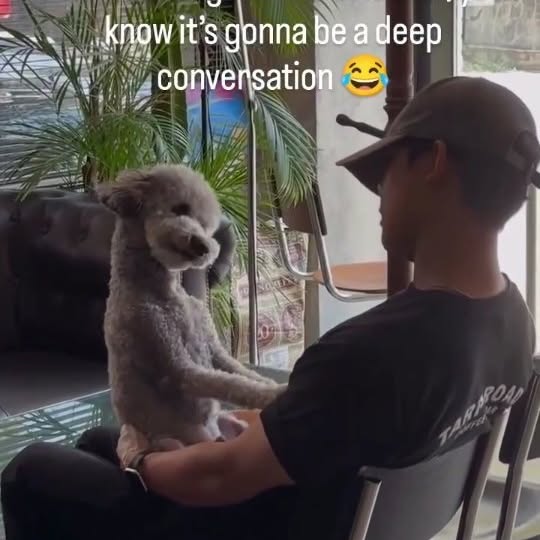  ......psworld   'recent posts' 