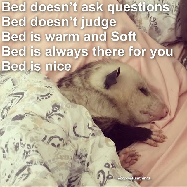  ......mthings   'recent posts' 