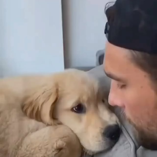  ........rcuteness   'recent posts' 