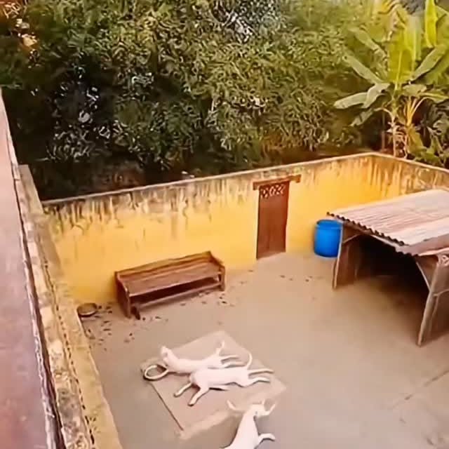  .......plorers   'recent posts' 