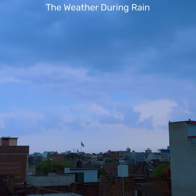  ........rkivines   'recent posts' 