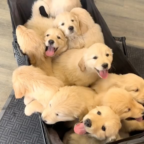  ........rcuteness   'recent posts' 