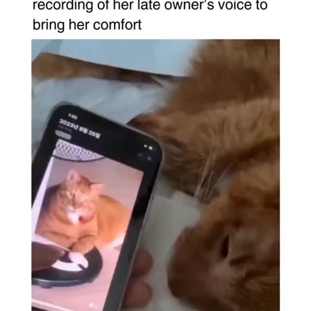  ......lyfans   'recent posts' 