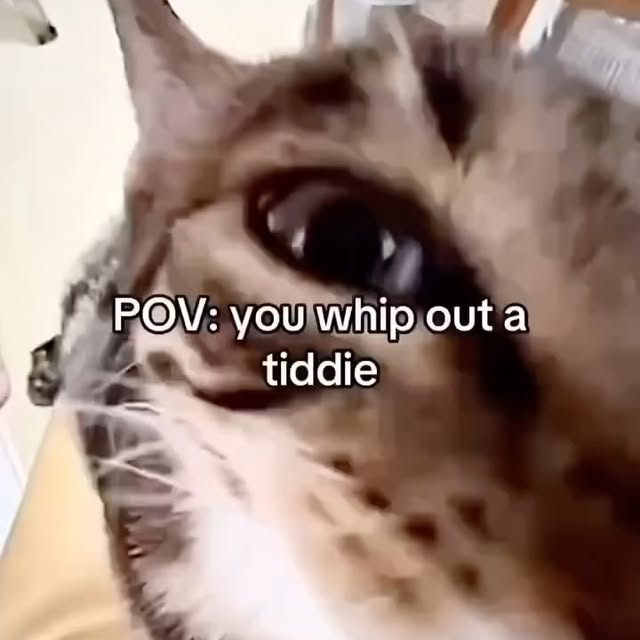  .....li9ht   'recent posts' 