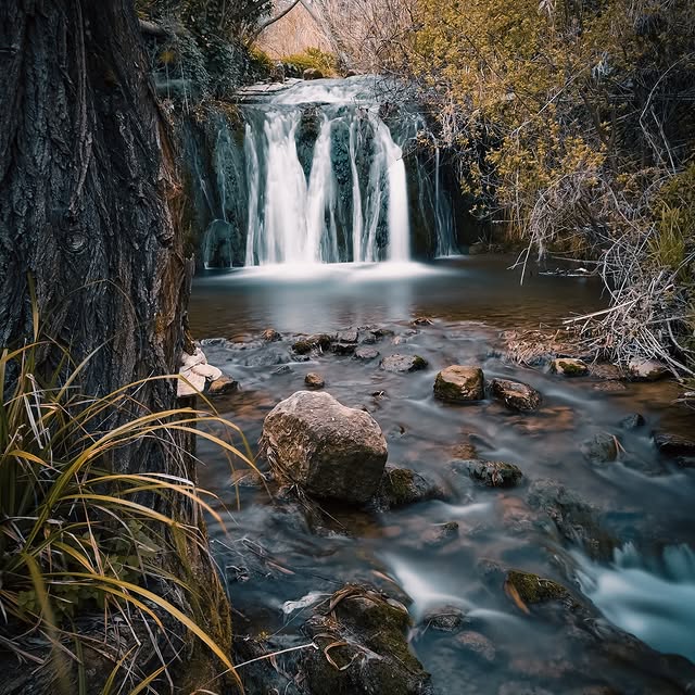  ......liano_   'recent posts' 