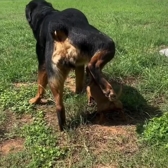  ......psworld   'recent posts' 