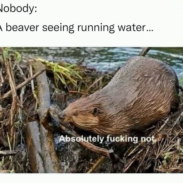  .......ndrulzz   'recent posts' 