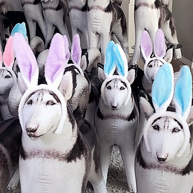  .....eteers   'recent posts' 