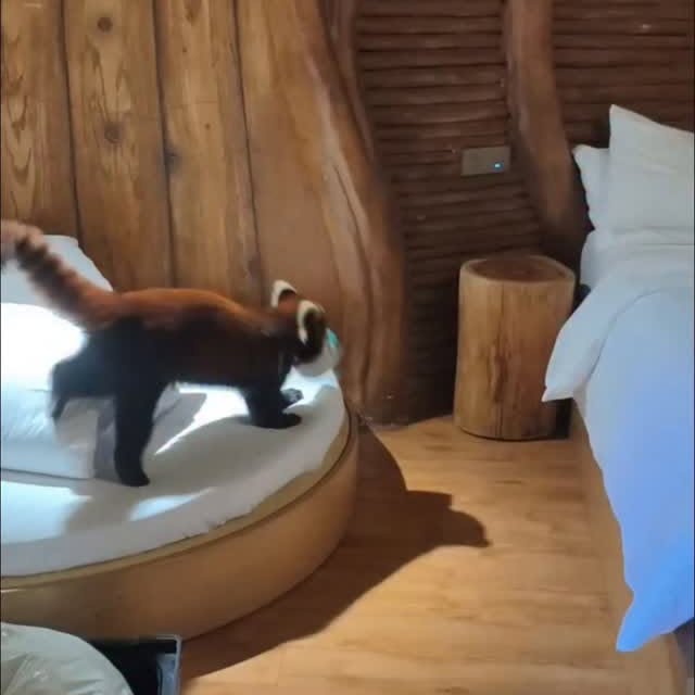  ........vel.club   'recent posts' 