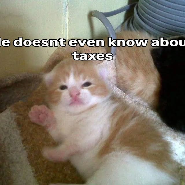  ......nd.kits   'recent posts' 