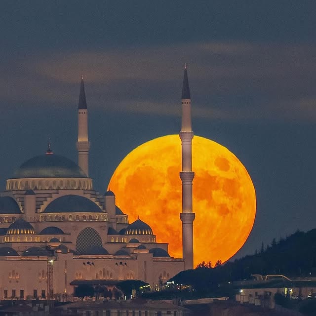  .....fever   'recent posts' 