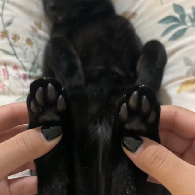  .......ats_club   'recent posts' 