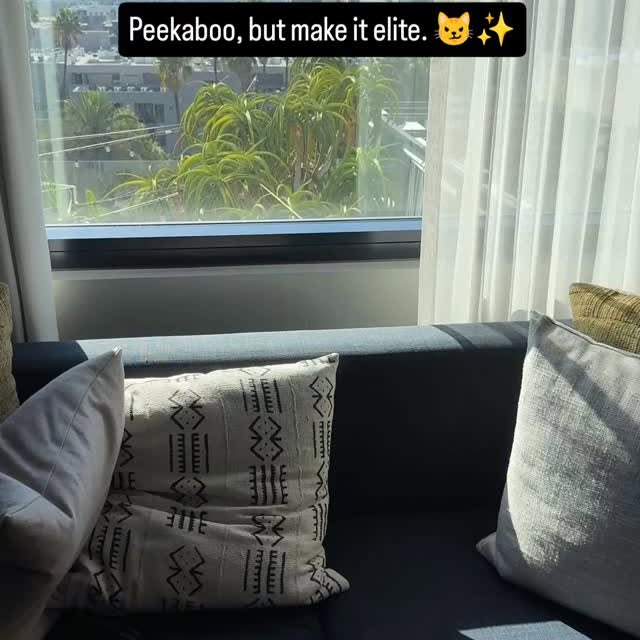  ......n_boris   'recent posts' 