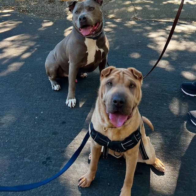  ......i.world   'recent posts' 