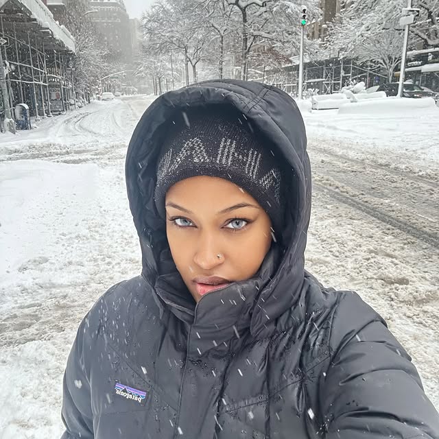  .......vetrice   'recent posts' 