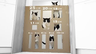  ....usic  'recent videos' 