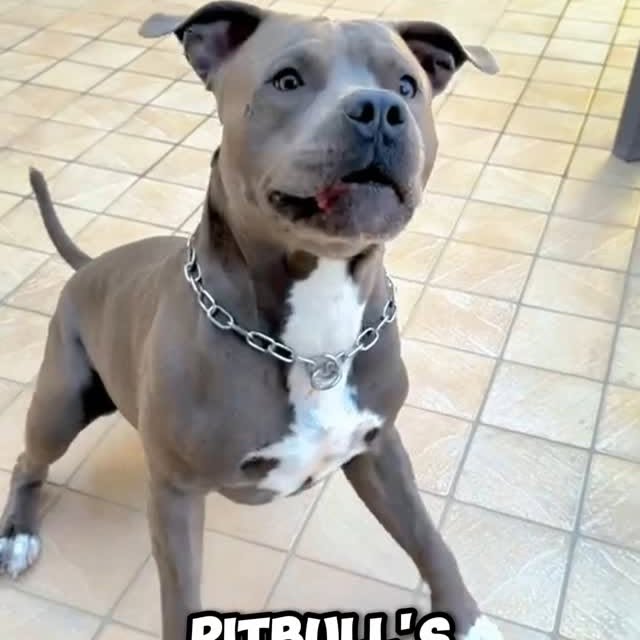  ........ykingdom   'recent posts' 